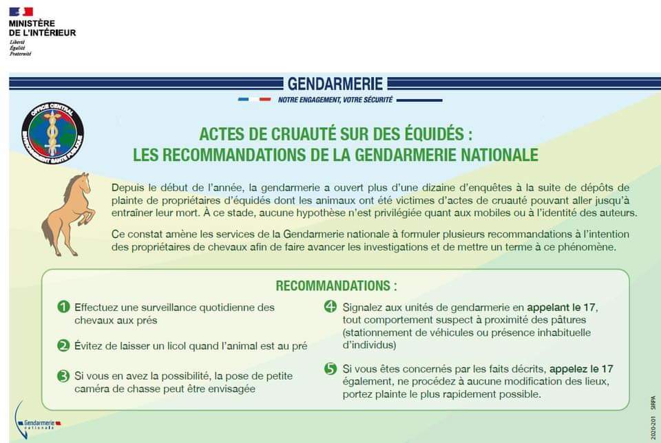 Équidés mutilés - recommandations gendarmerie